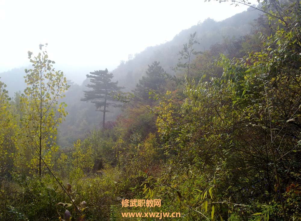 20111007375.jpg