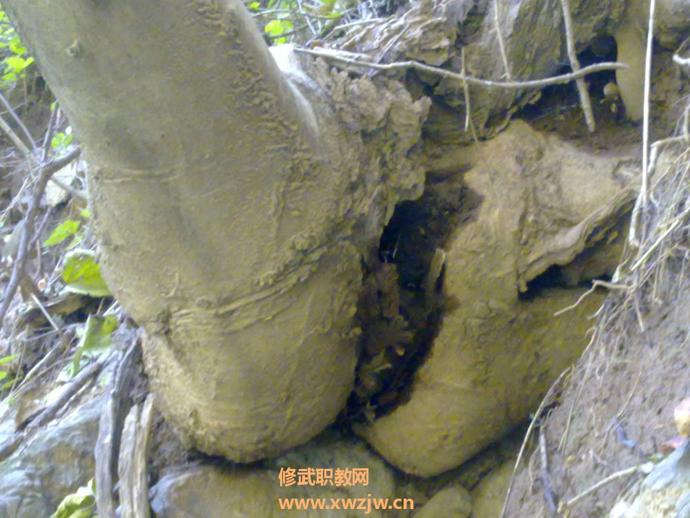 20111007368.jpg