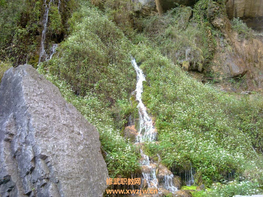 20111007367.jpg