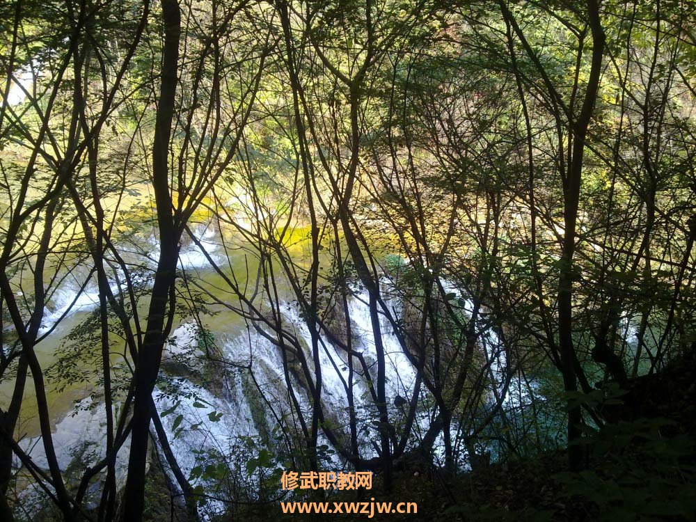 20111007347.jpg