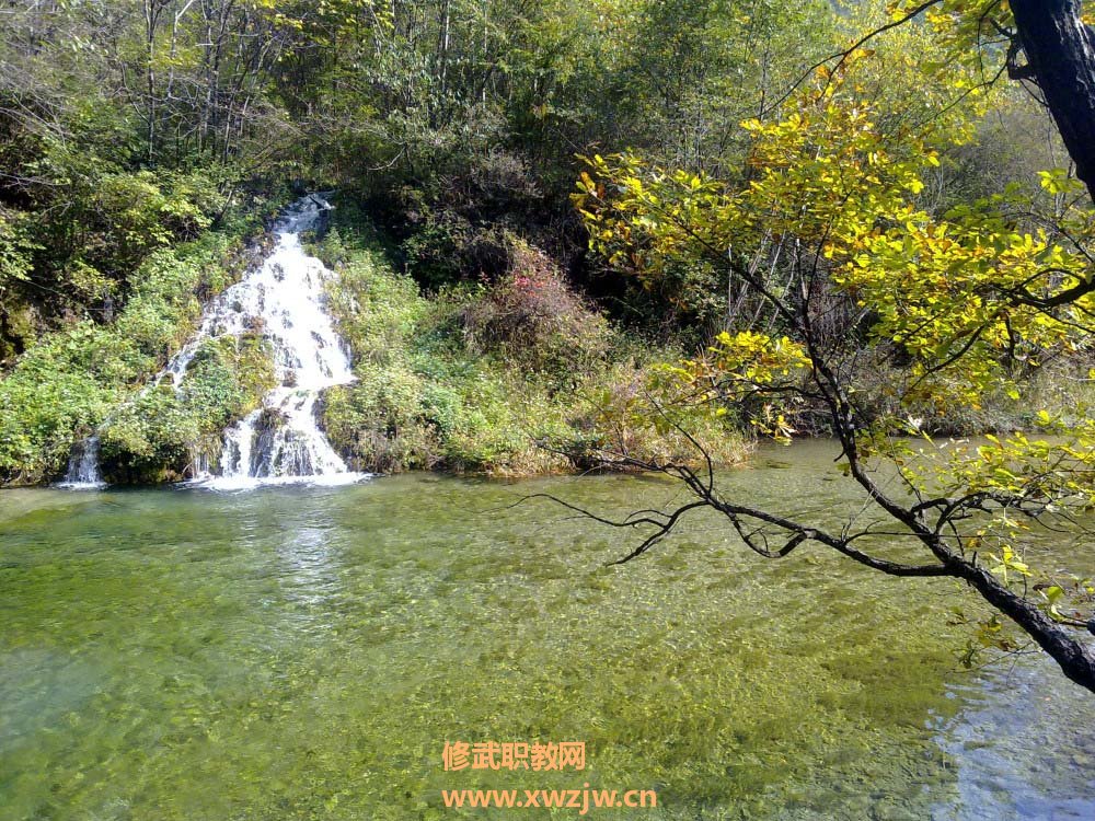 20111007339.jpg