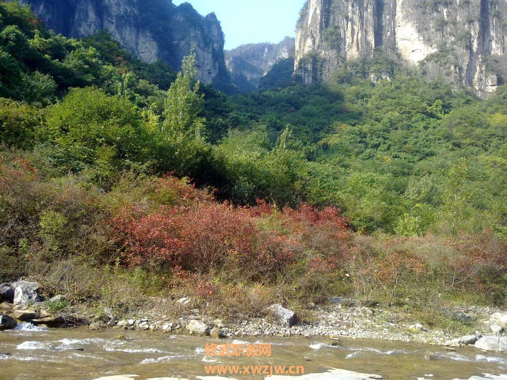 20111007321.jpg