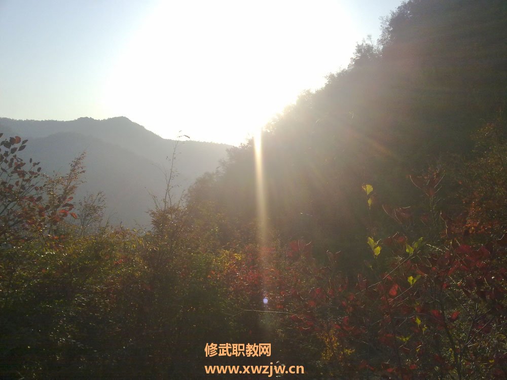 20111007318.jpg