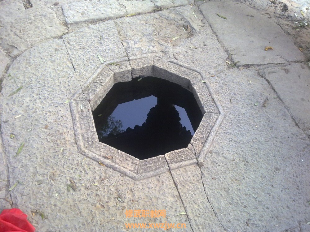 20111006315.jpg
