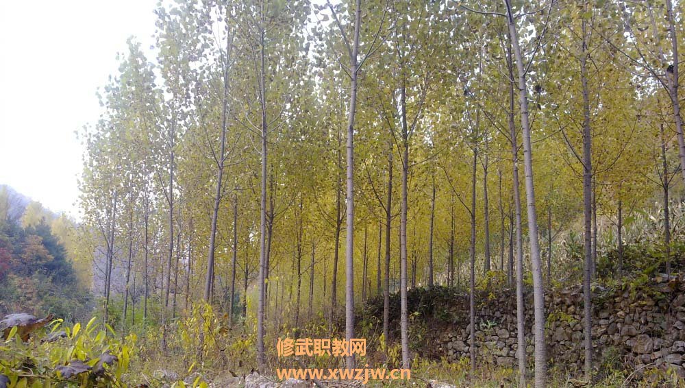 20111006314.jpg