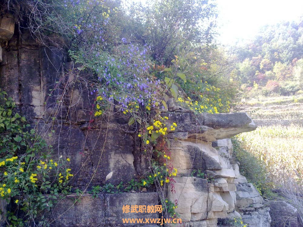 20111006312.jpg