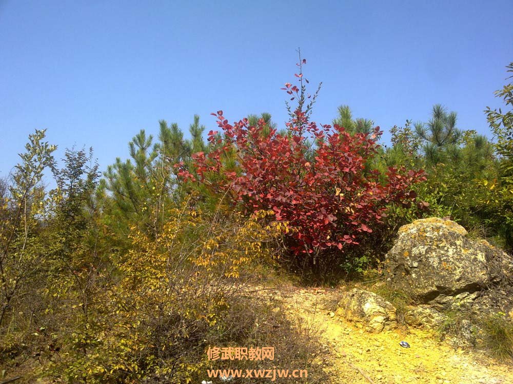 20111006307.jpg