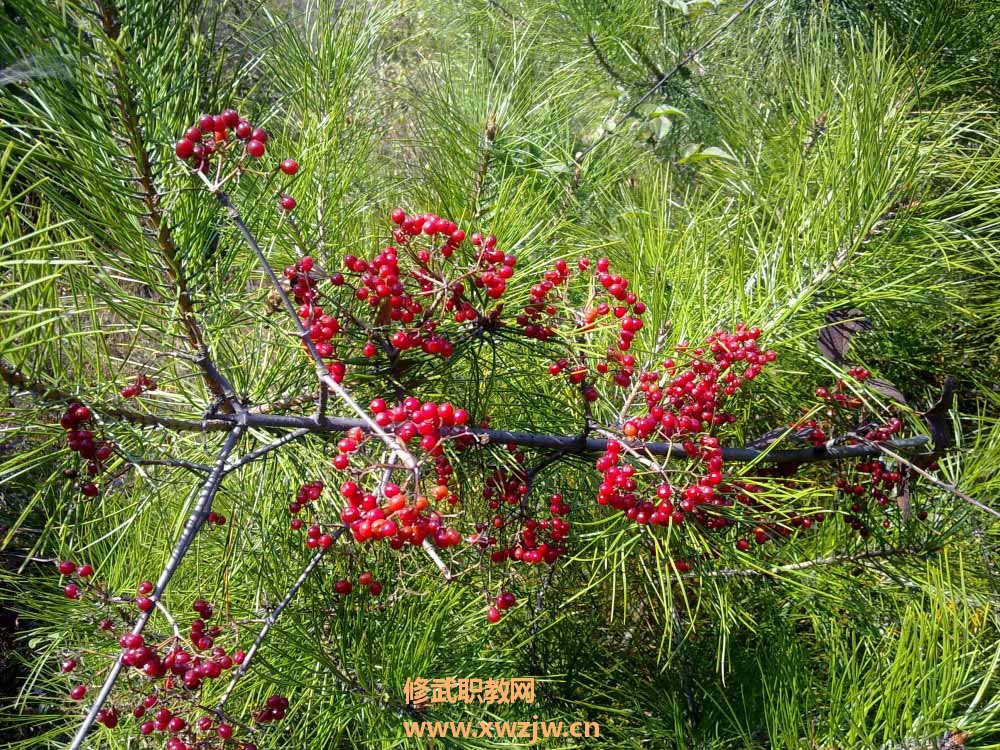 20111006310.jpg