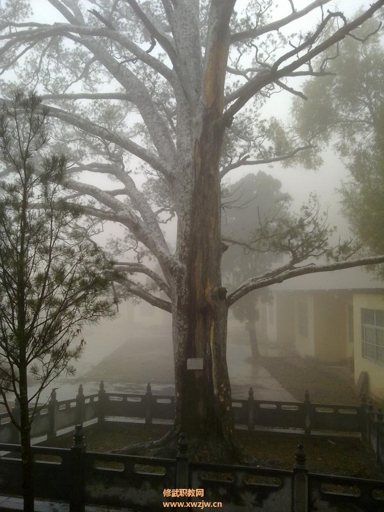 20111106385.jpg