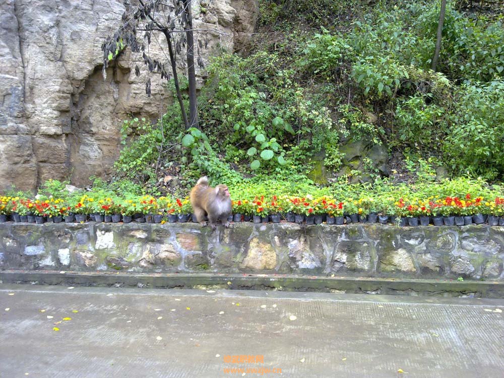 20111106393.jpg