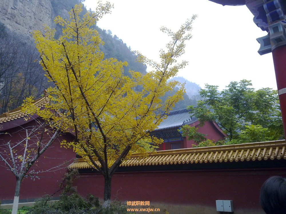 20111106392.jpg