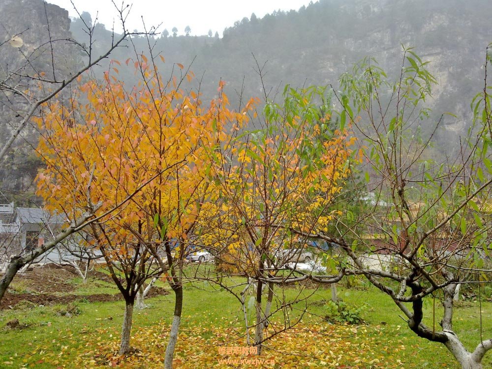 20111106411.jpg