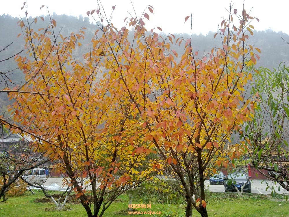20111106412.jpg