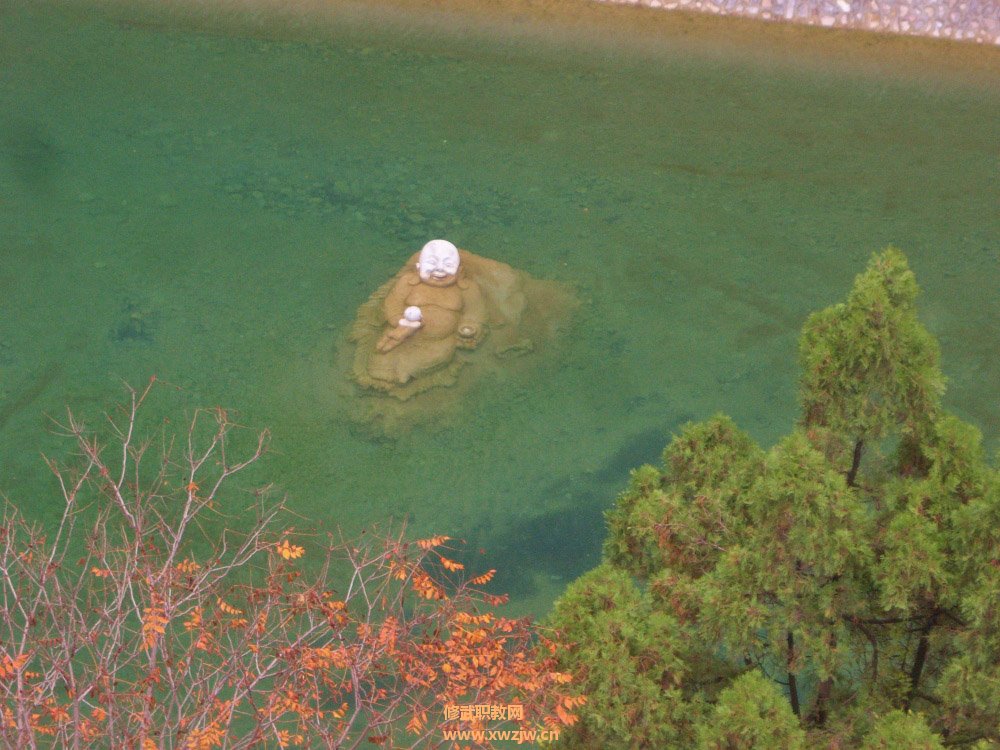 100_9513.JPG