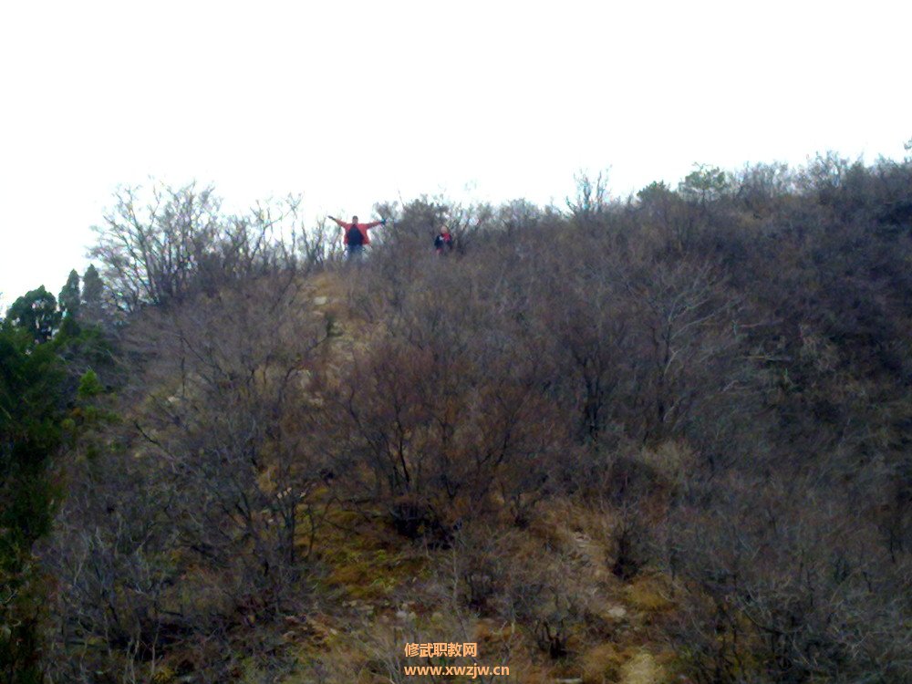 20111112427.jpg