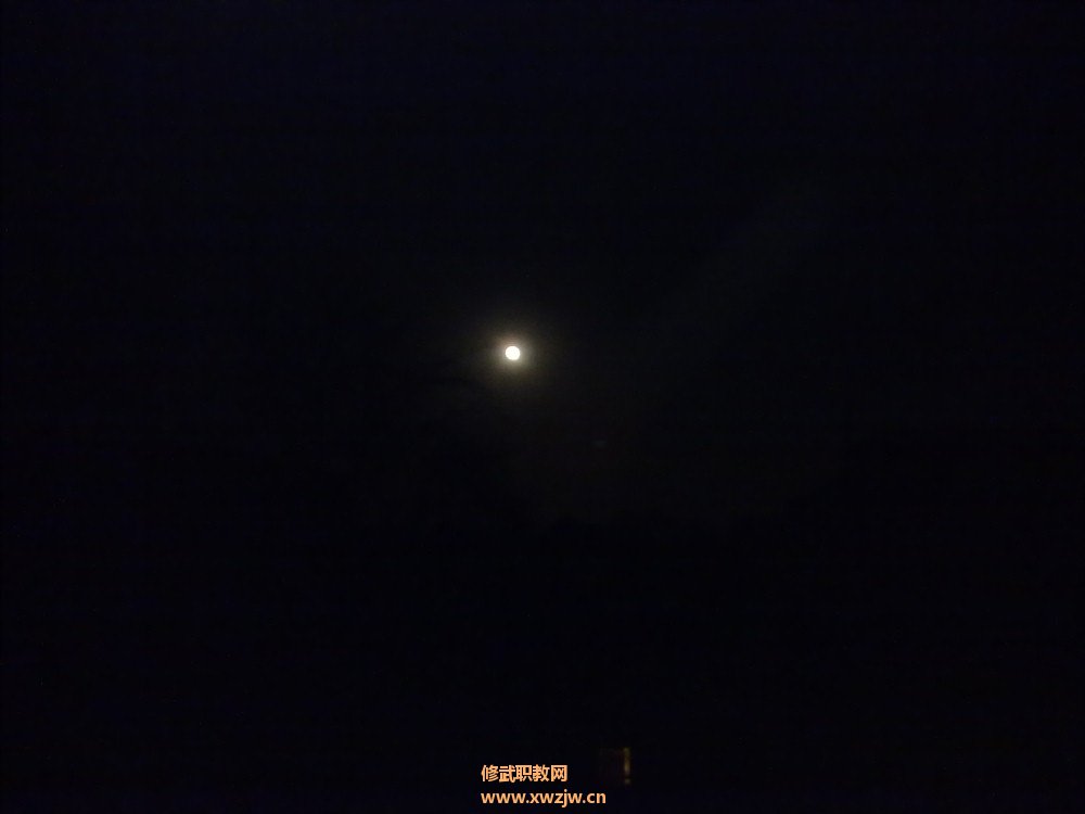 20111210446.jpg