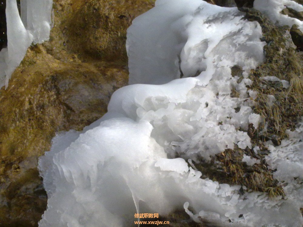 20120127485.jpg