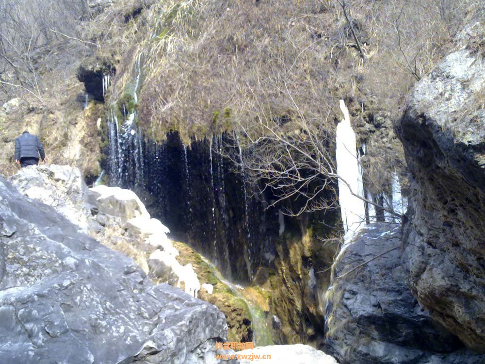 20120127482.jpg