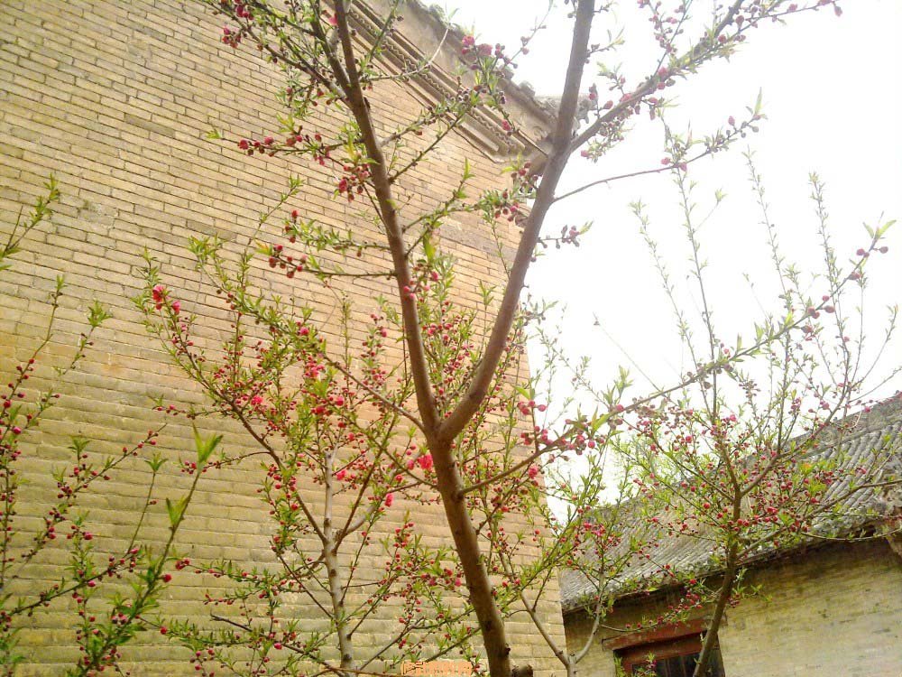 20120402539.jpg