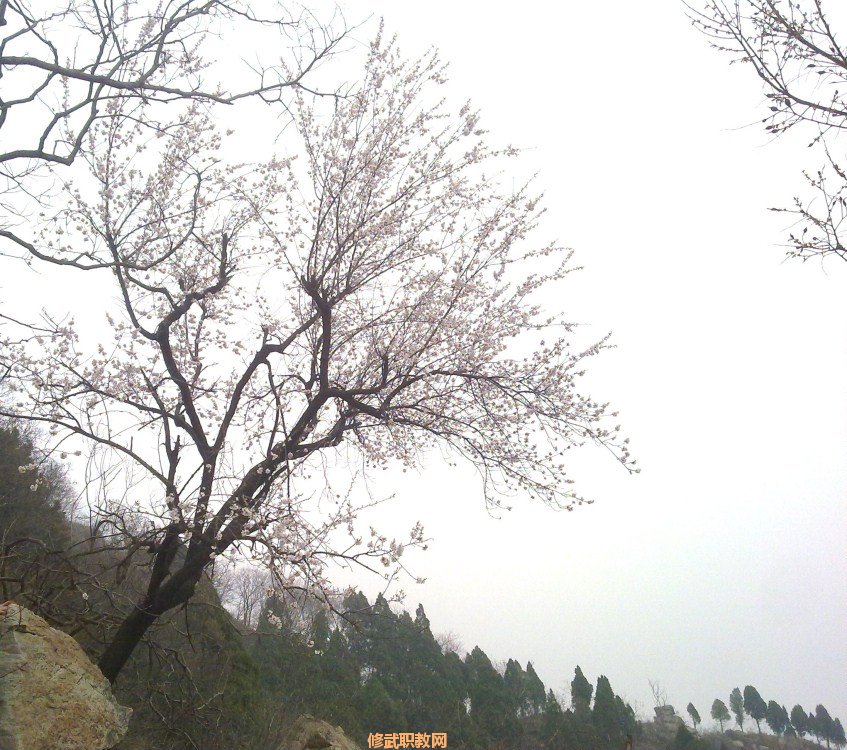 20120402561.jpg