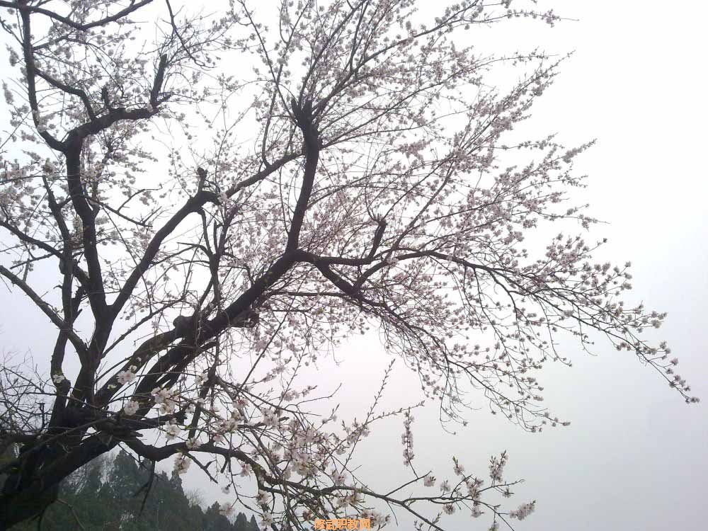 20120402564.jpg