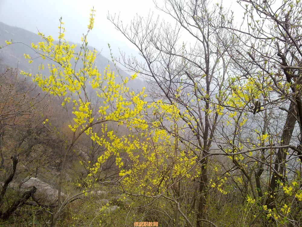 20120402568.jpg