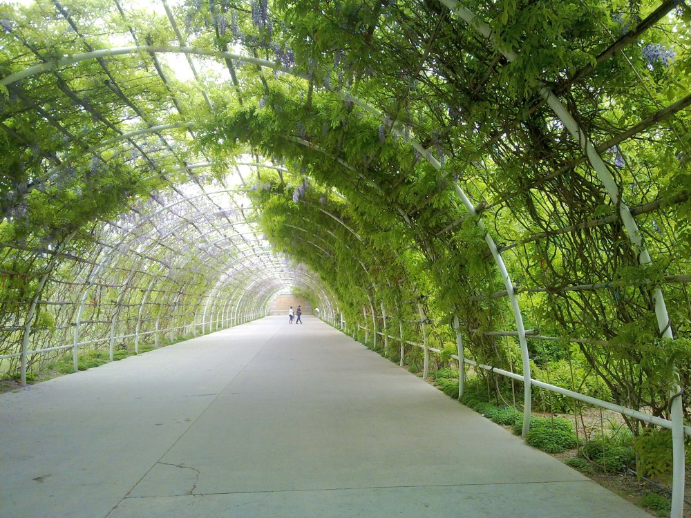 20120414591.jpg