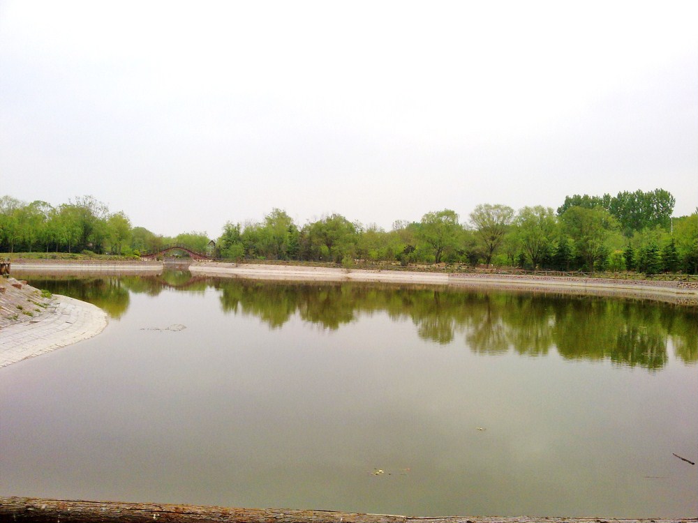 20120414594.jpg