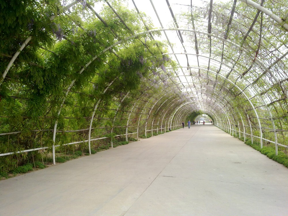 20120414592.jpg