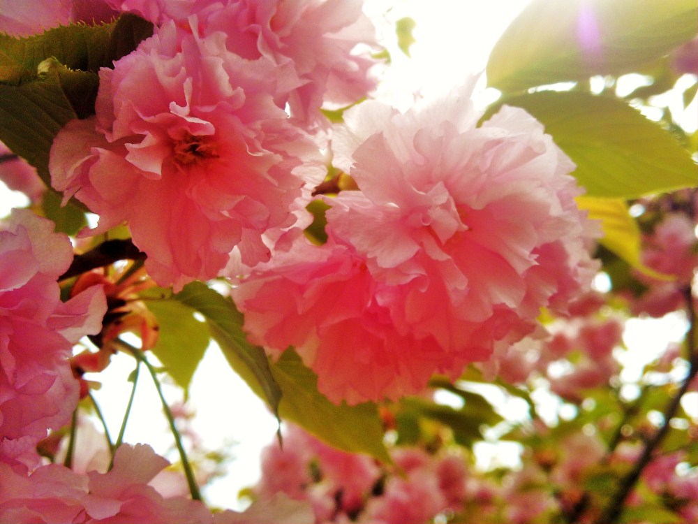 20120414595.jpg