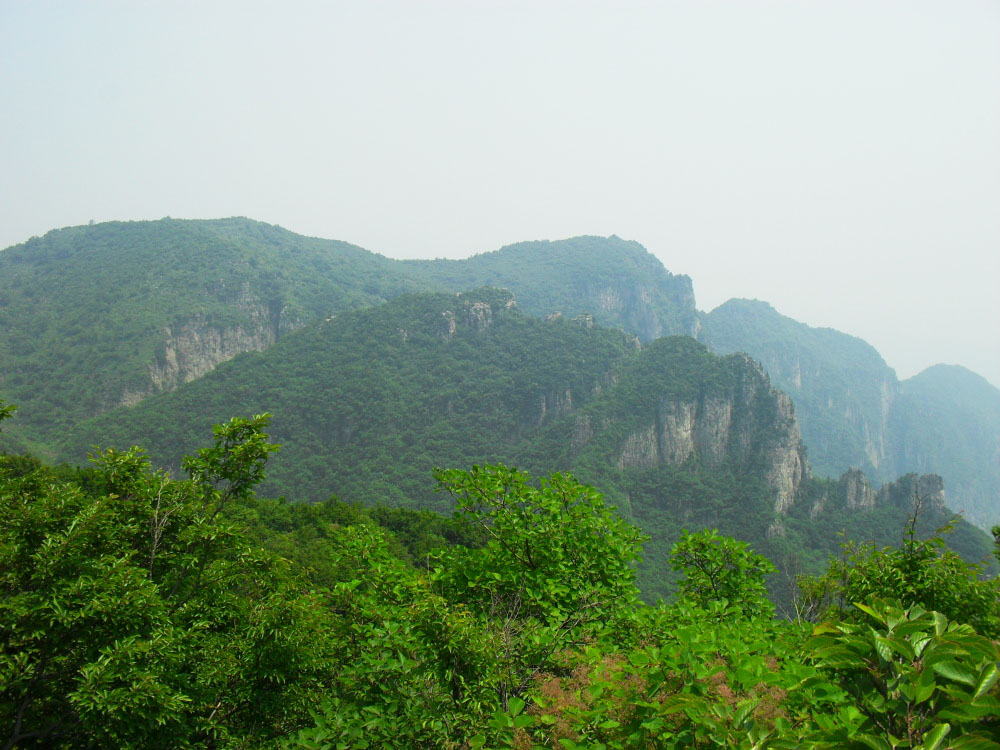 SDC10562.JPG