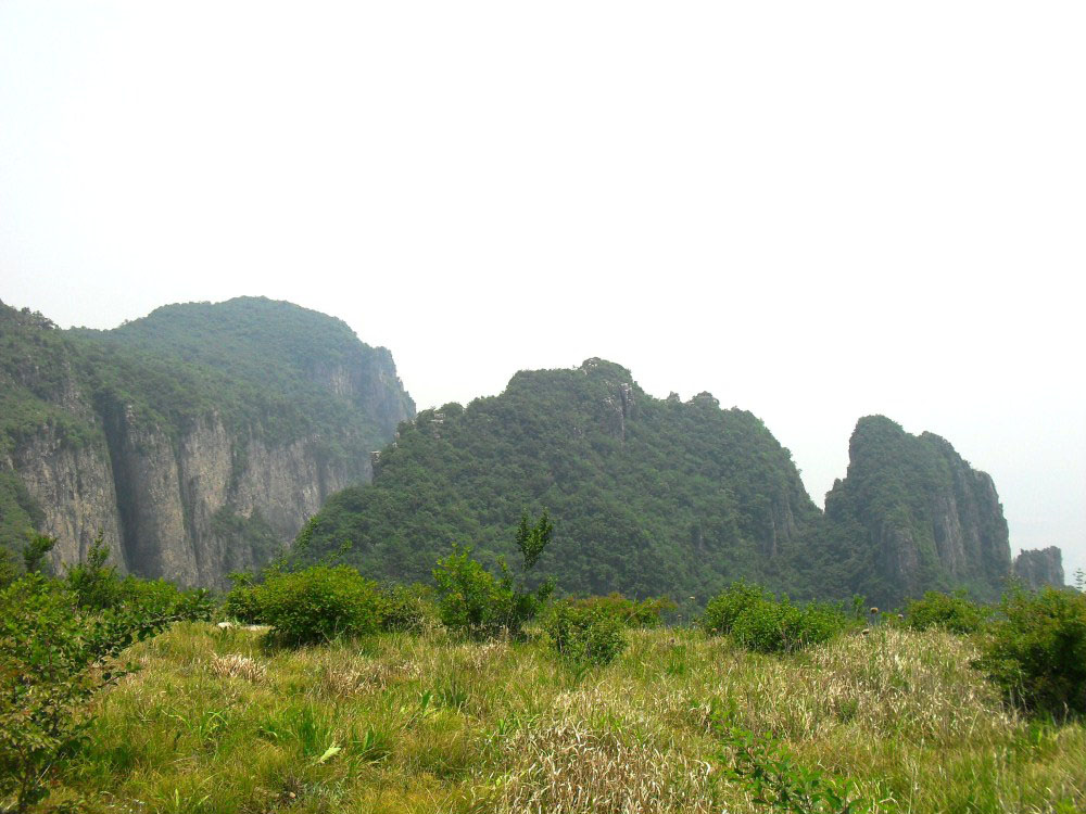 SDC10566.JPG