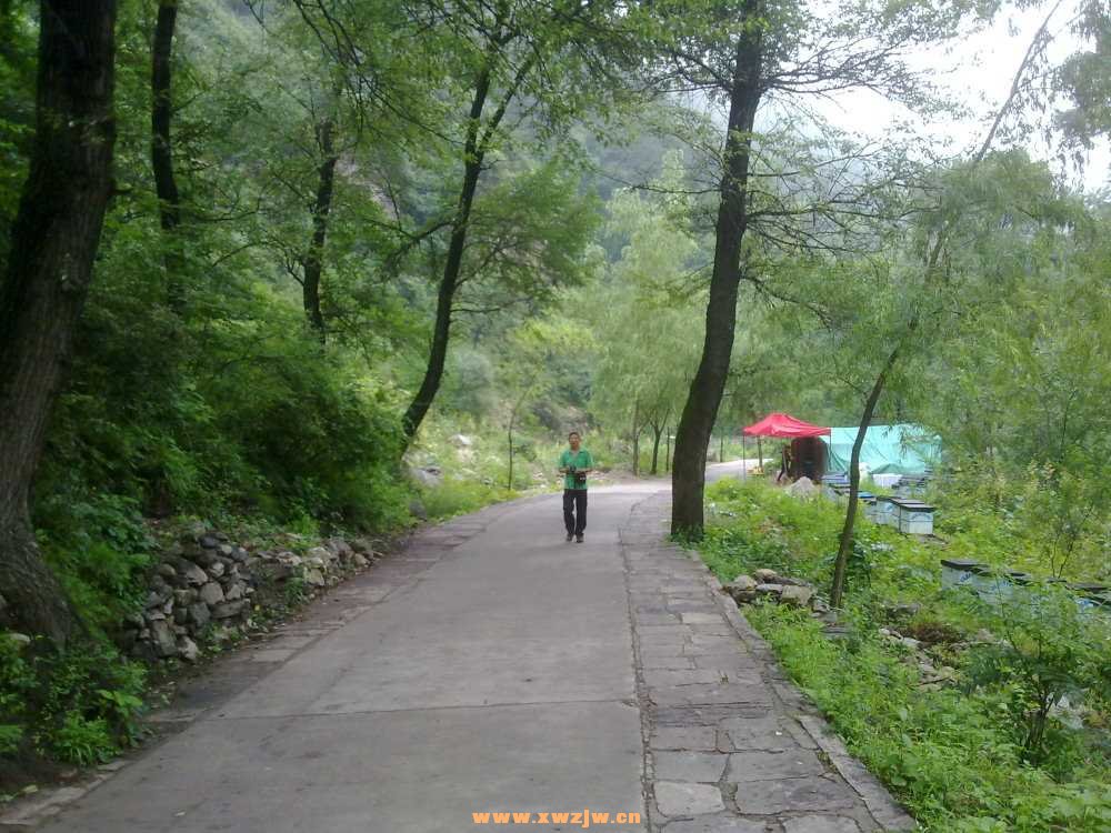 201407051677.jpg