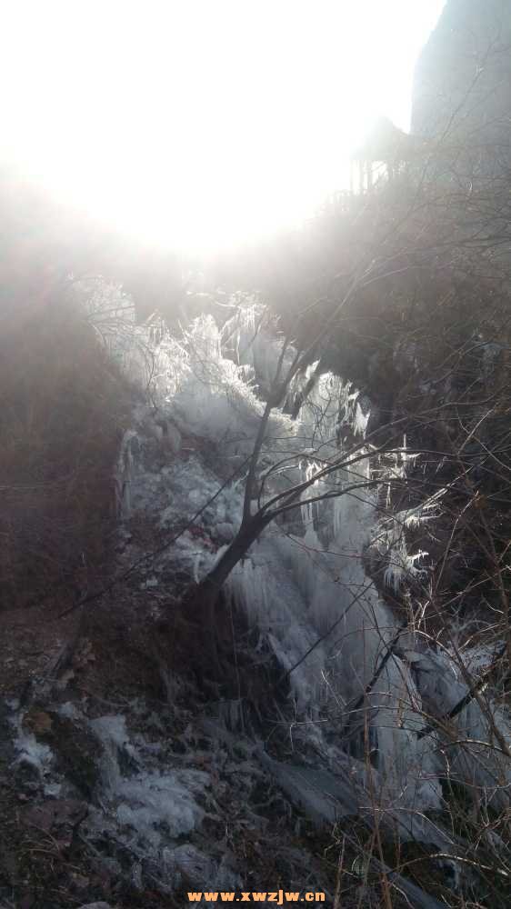 DSC_0203.JPG