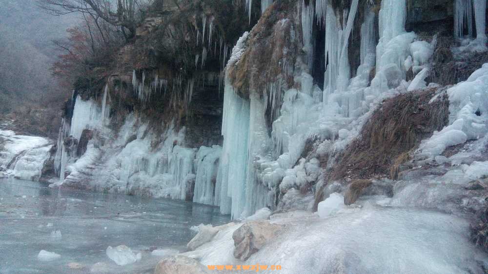 DSC_0200.JPG