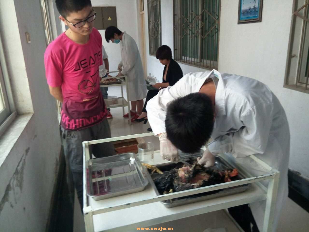 QQ图片20150601133349.jpg