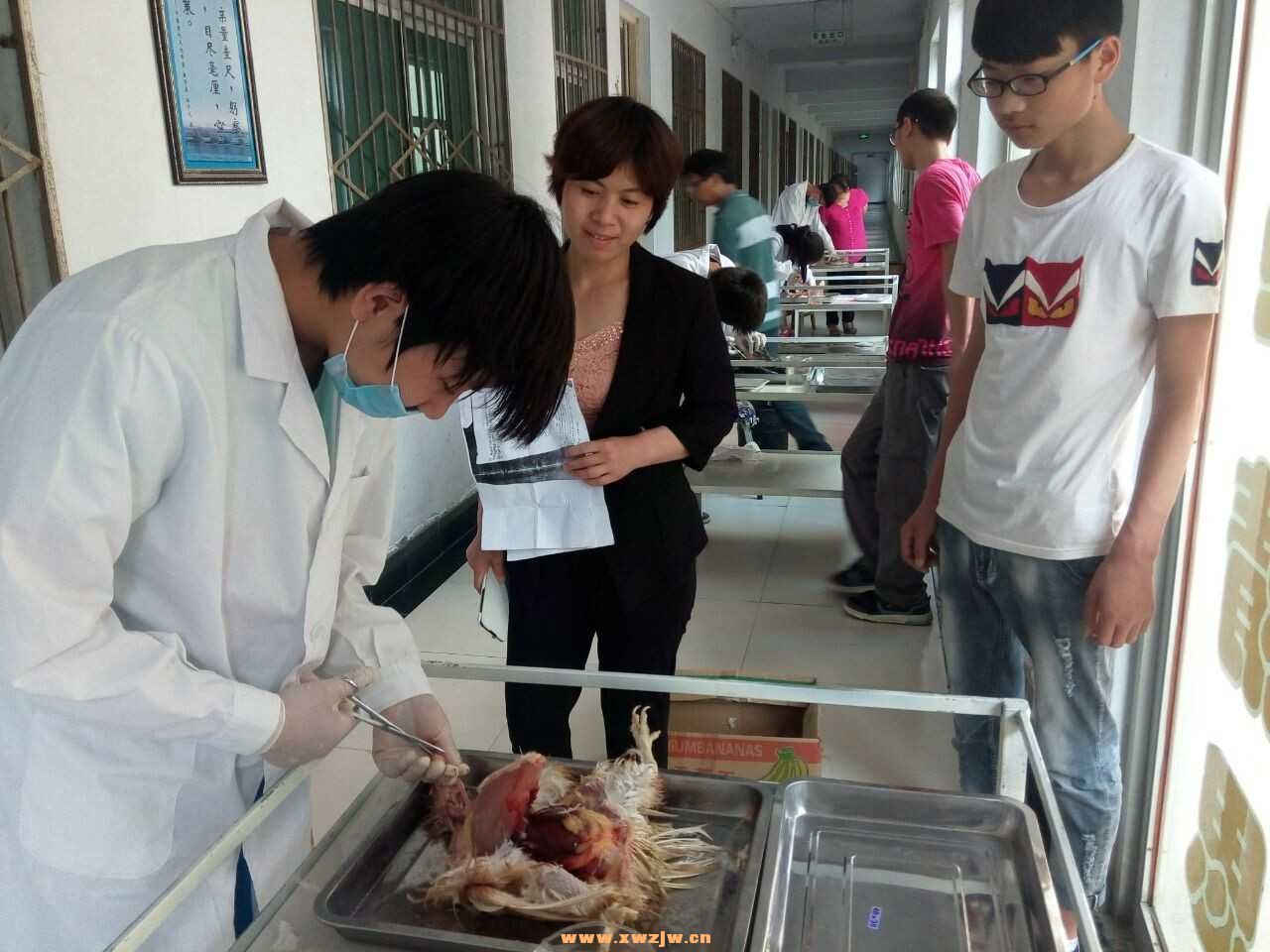 QQ图片20150601133330.jpg