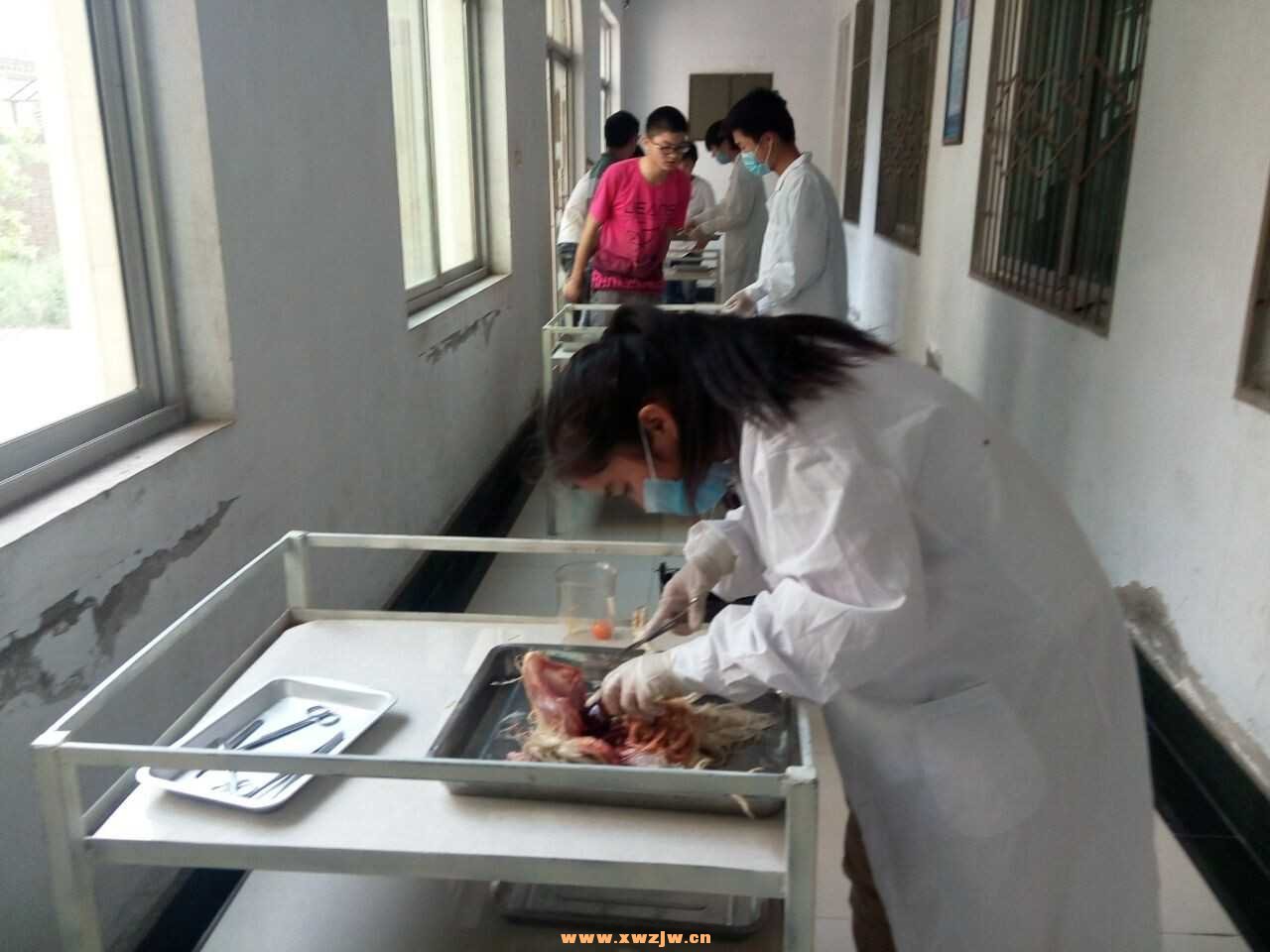 QQ图片20150601133343.jpg