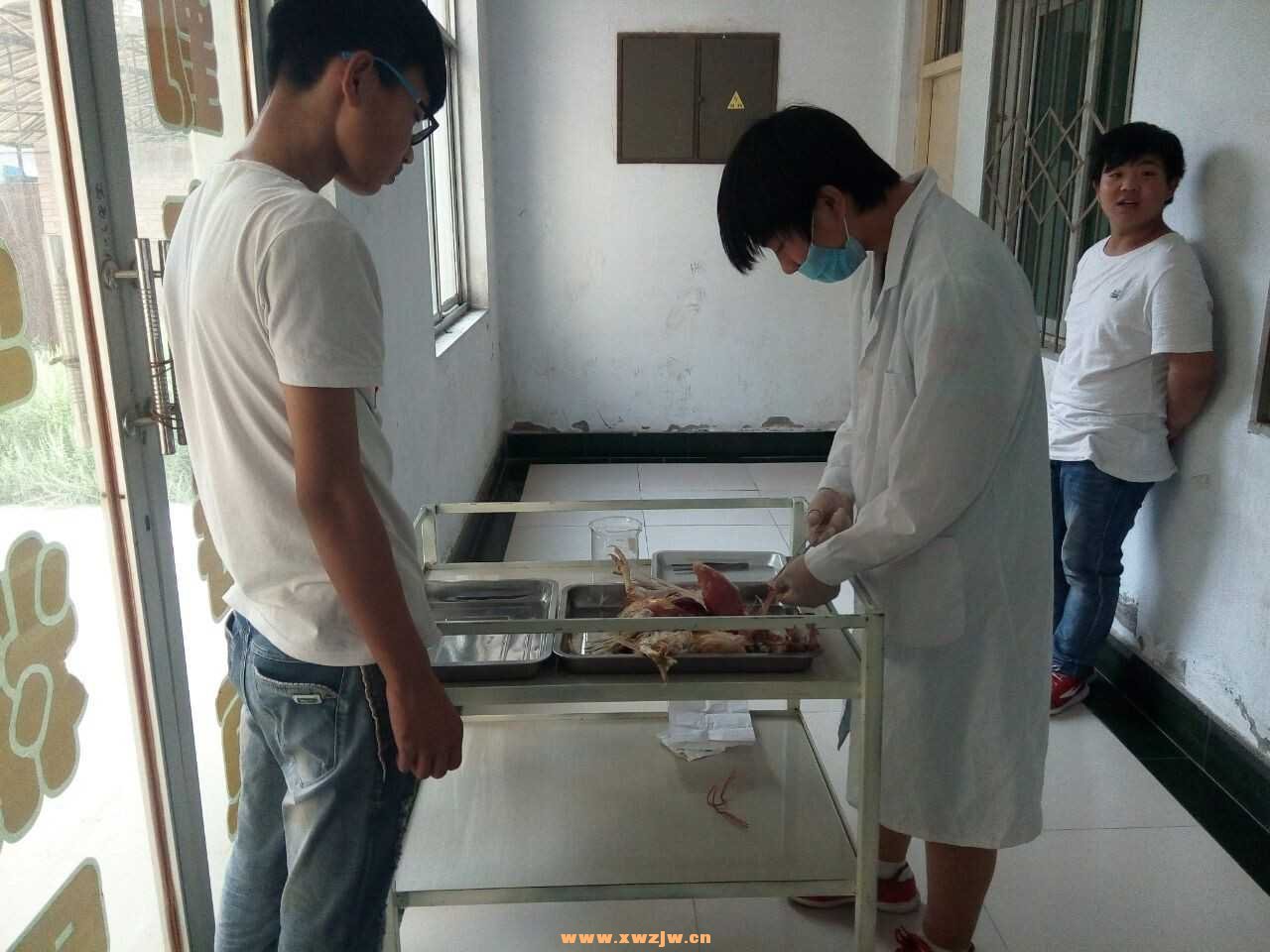 QQ图片20150601133353.jpg