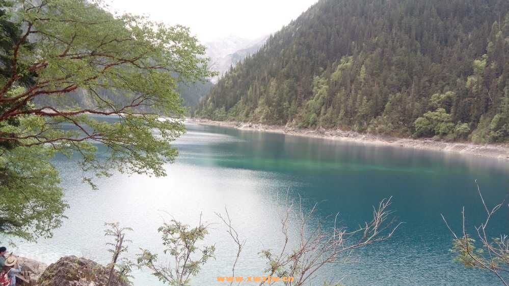 DSC_0533.JPG
