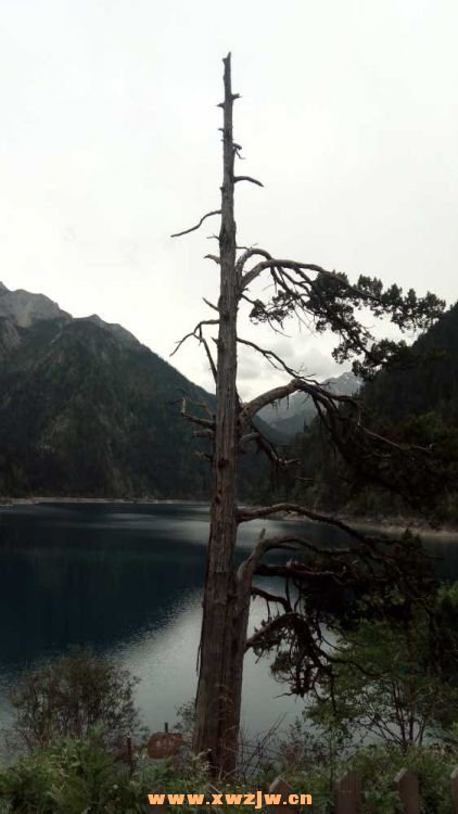 DSC_0536.JPG