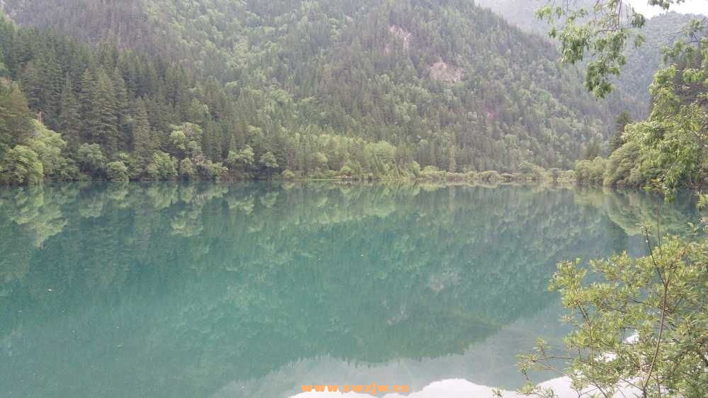 DSC_0550.JPG