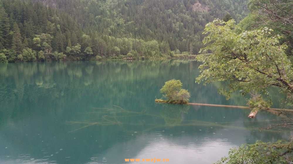 DSC_0551.JPG