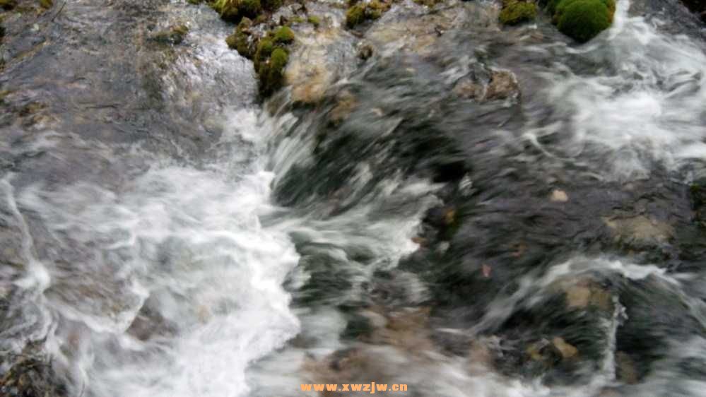 DSC_0572.JPG