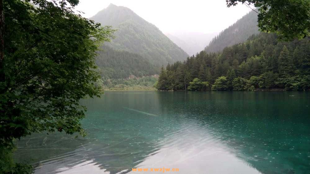 DSC_0614.JPG