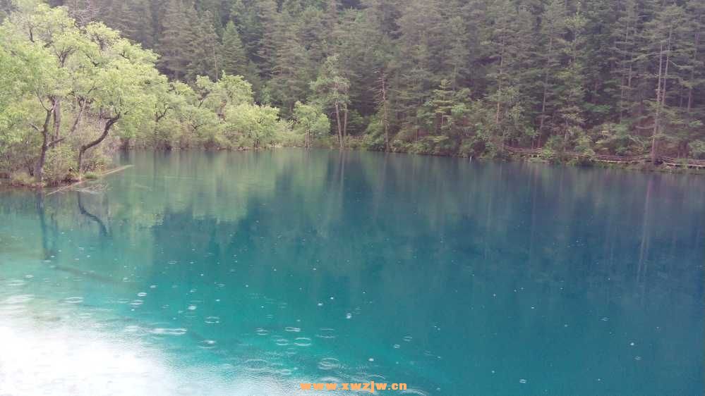 DSC_0623.JPG