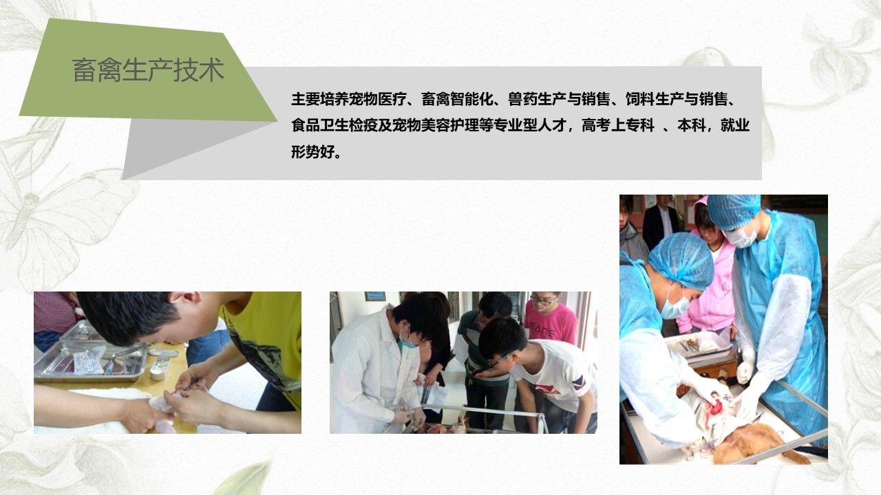 幻灯片8.JPG