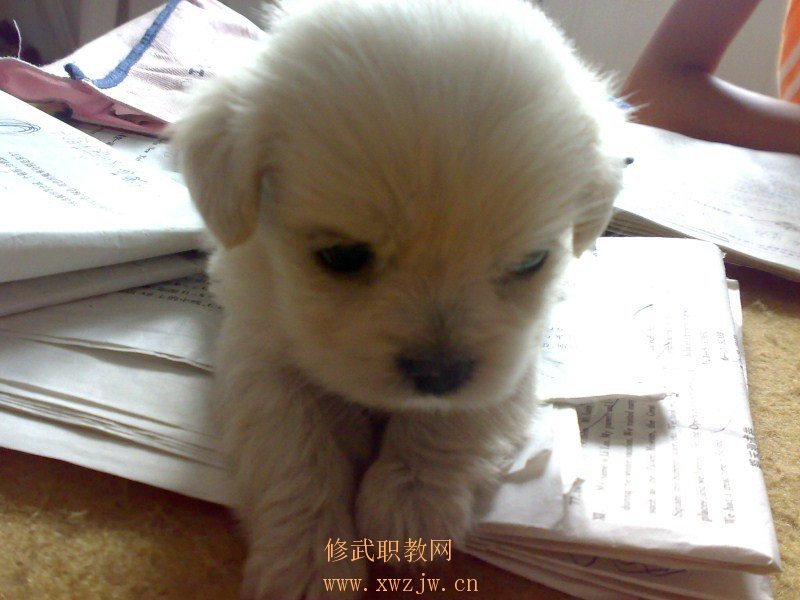 20090808271.jpg