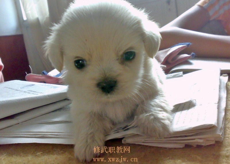 20090808270.jpg