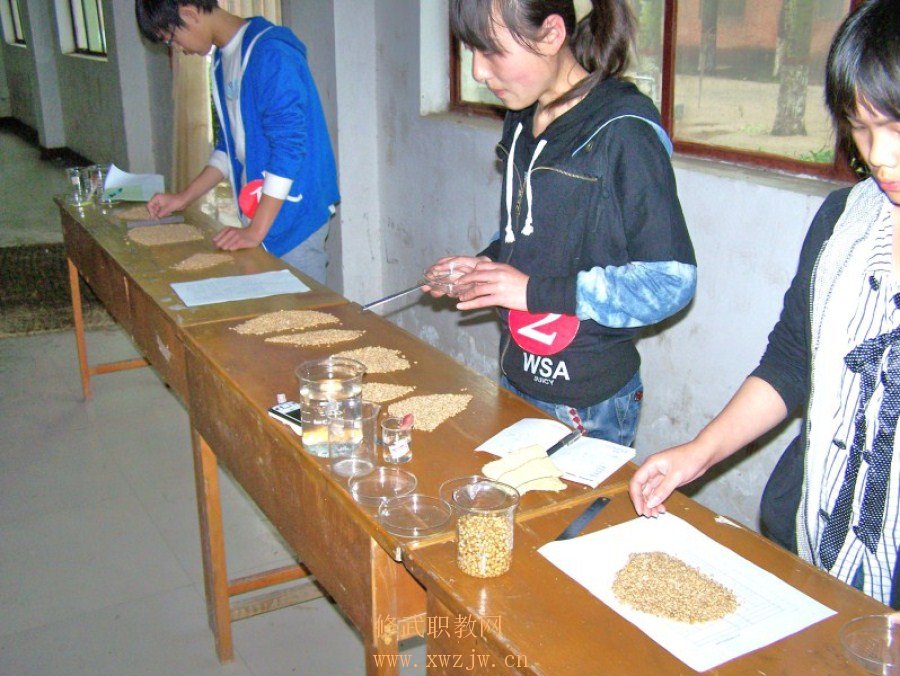 100_5628.JPG